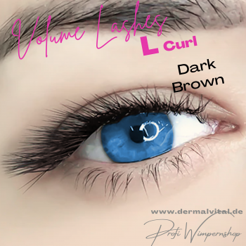 Wimpern L Curl Brown